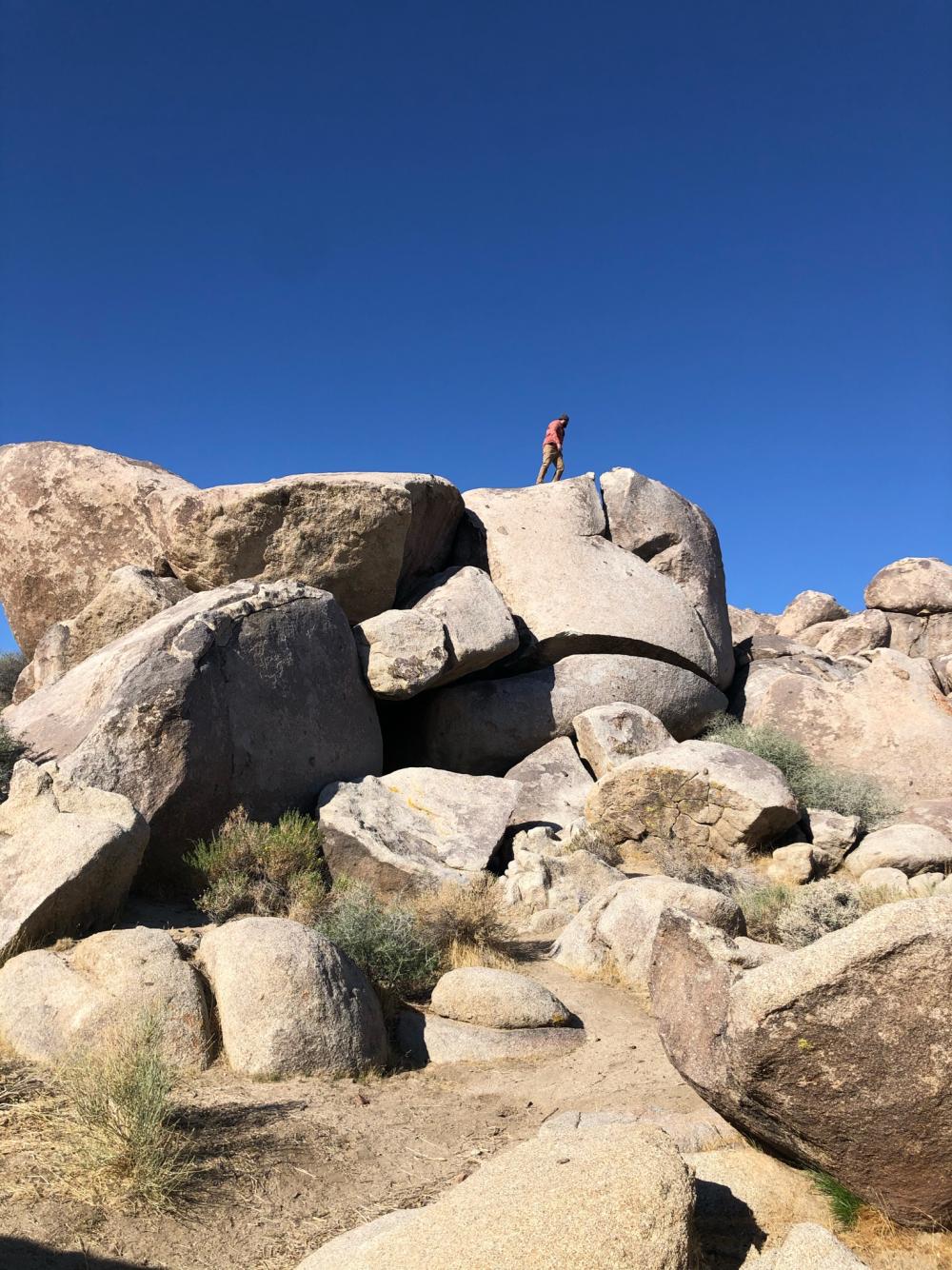 Hiker standing atop a massive boulder pile, scouting a path through the rock formations below.