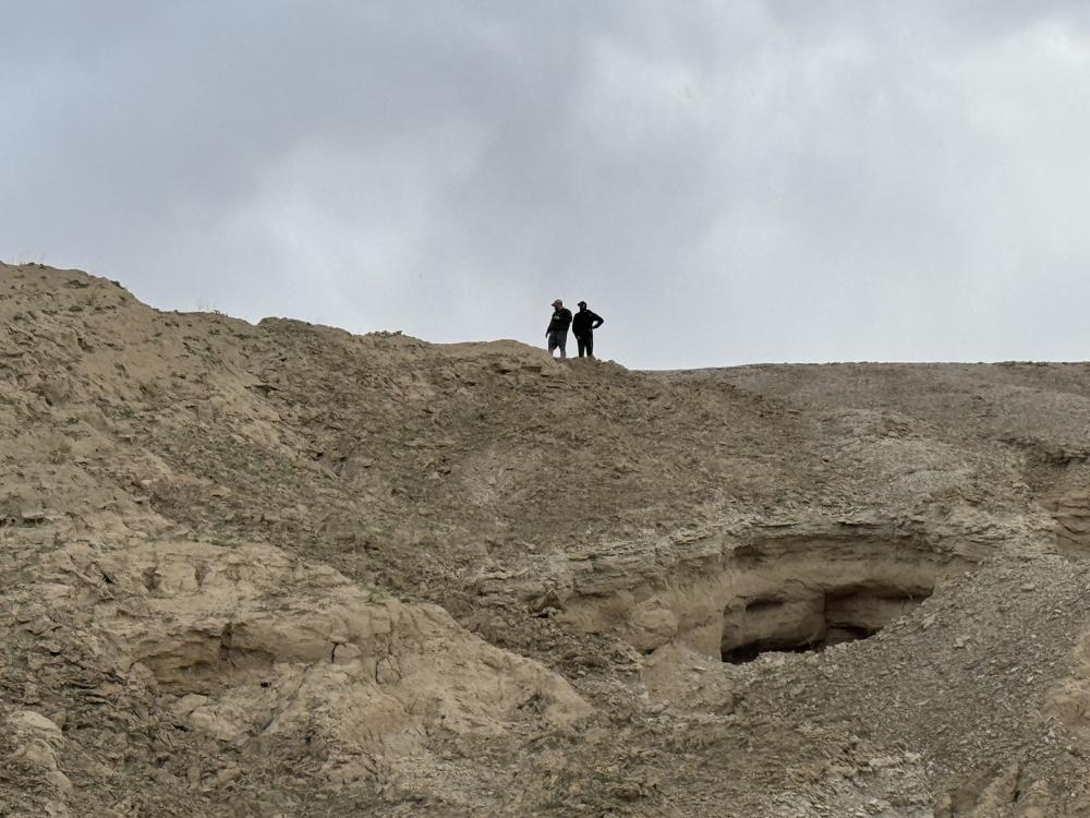 Two silhouetted figures standing together on a ridge overlooking a rugged badlands canyon under an overcast sky.