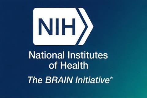 NIH BRAIN Initiative