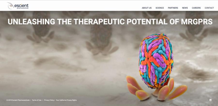 The Escient Pharmaceuticals home page hero, a full-bleed receptor illustration behind the headline "Unleashing the therapeutic potential of MRGPRs".